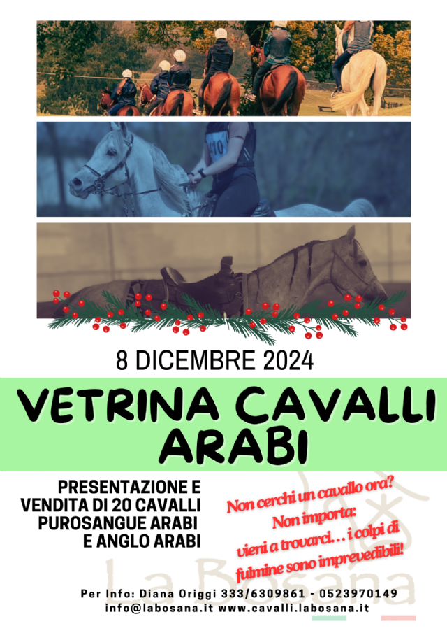 8 DICEMBRE 2024